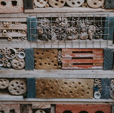 Bug Hotel